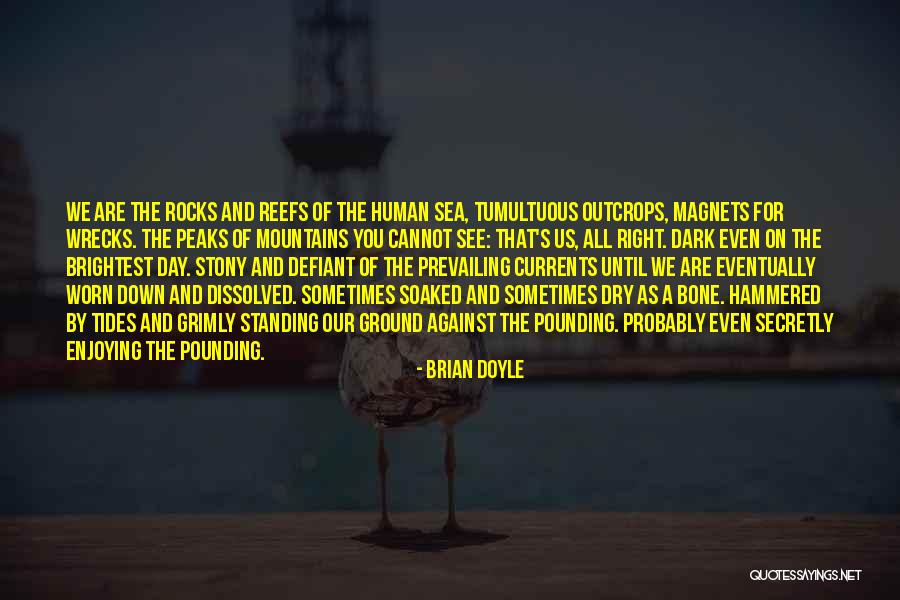 Enjoying Each Day Quotes By Brian Doyle Enjoying Each Day Quotes By Brian Doyle