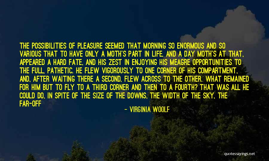 Enjoying Each Day Quotes By Virginia Woolf Enjoying Each Day Quotes By Virginia Woolf
