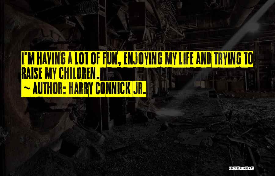 Enjoying Life And Having Fun Quotes By Harry Connick Jr.