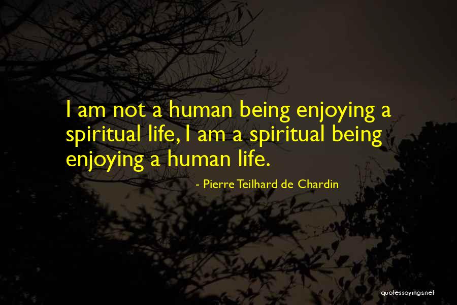 Enjoying Life As It Is Quotes By Pierre Teilhard De Chardin