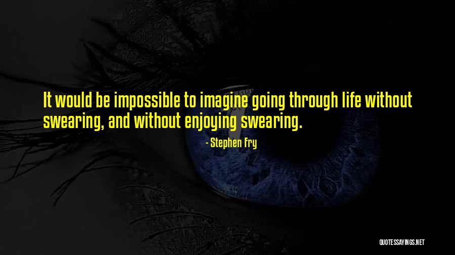 Enjoying Life As It Is Quotes By Stephen Fry