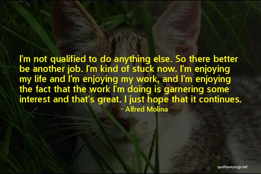 Enjoying Life Now Quotes By Alfred Molina