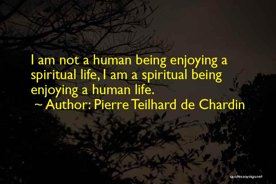 Enjoying Life Quotes By Pierre Teilhard De Chardin