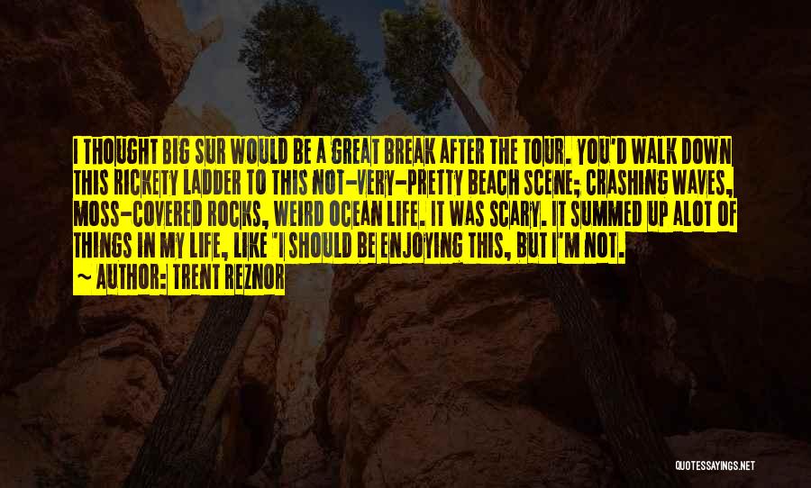 Enjoying Life Quotes By Trent Reznor
