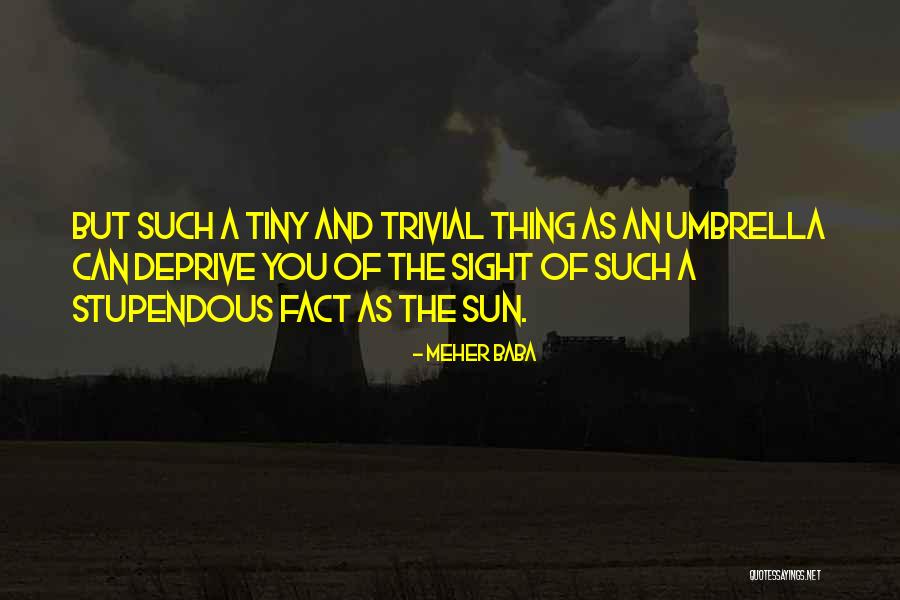 Enjoying Life With Loved Ones Quotes By Meher Baba Enjoying Life With Loved Ones Quotes By Meher Baba