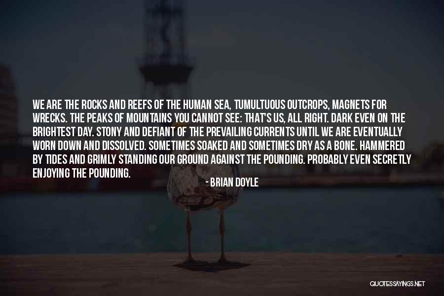 Enjoying My Day Quotes By Brian Doyle Enjoying My Day Quotes By Brian Doyle