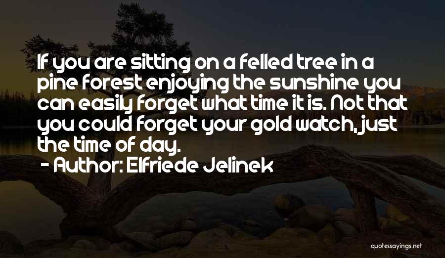 Enjoying One Day At A Time Quotes By Elfriede Jelinek