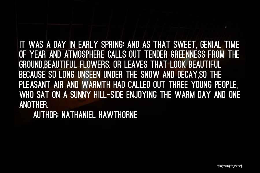 Enjoying One Day At A Time Quotes By Nathaniel Hawthorne