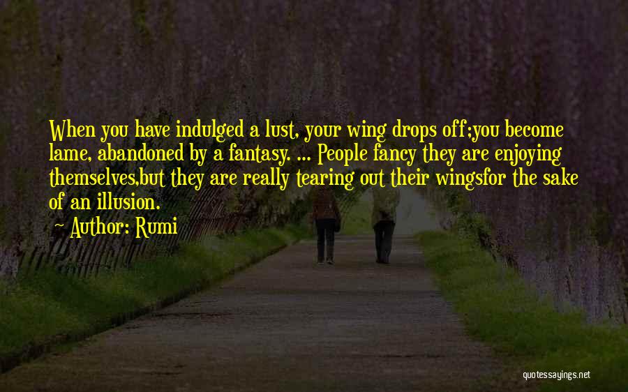 Enjoying People Quotes By Rumi