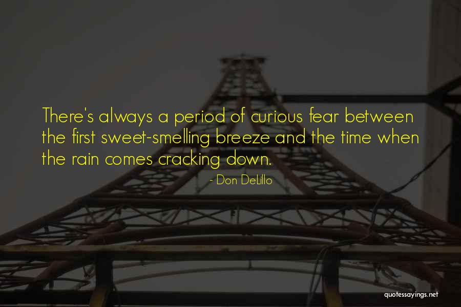 Enjoying Snowfall Quotes By Don DeLillo Enjoying Snowfall Quotes By Don DeLillo