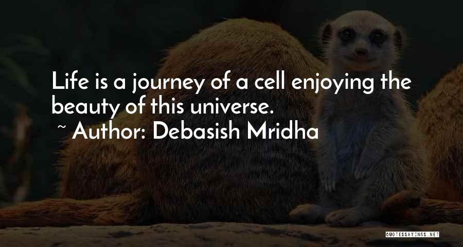 Enjoying The Journey Of Life Quotes By Debasish Mridha