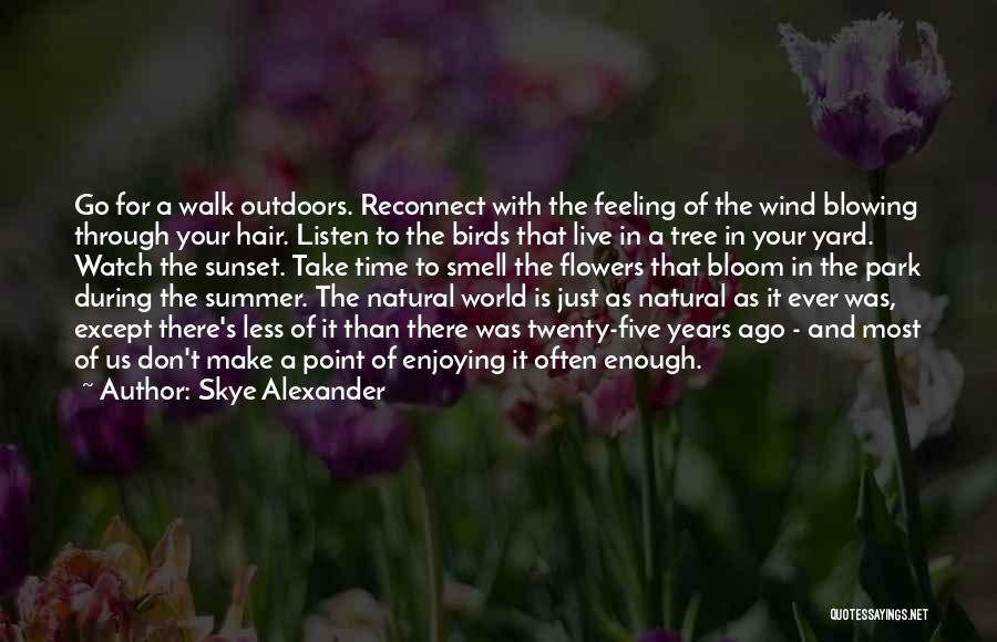 Enjoying The Wind Quotes By Skye Alexander