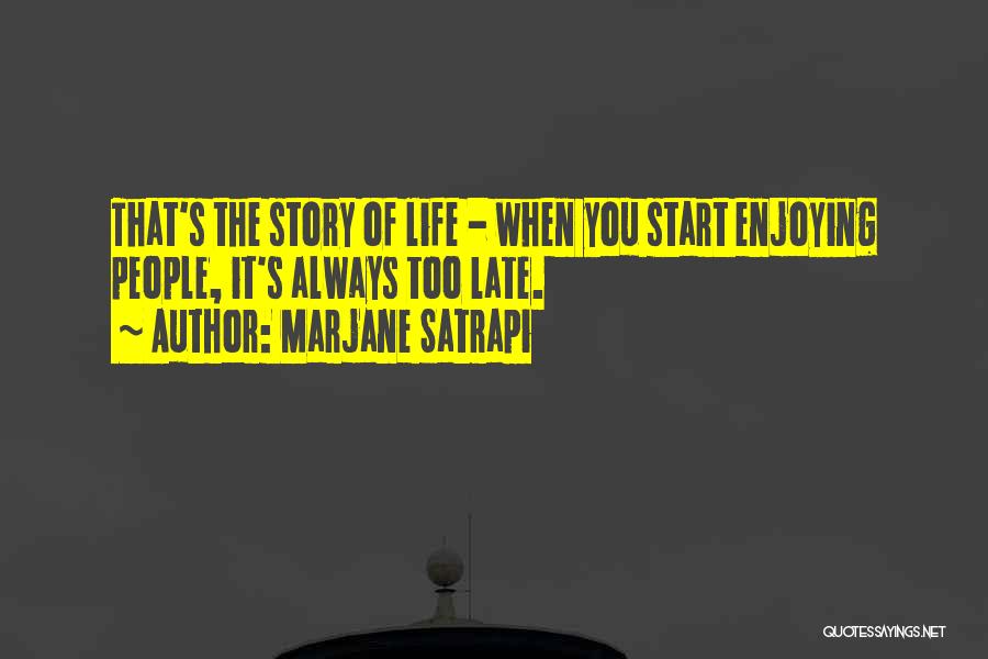 Enjoying What You Have In Life Quotes By Marjane Satrapi