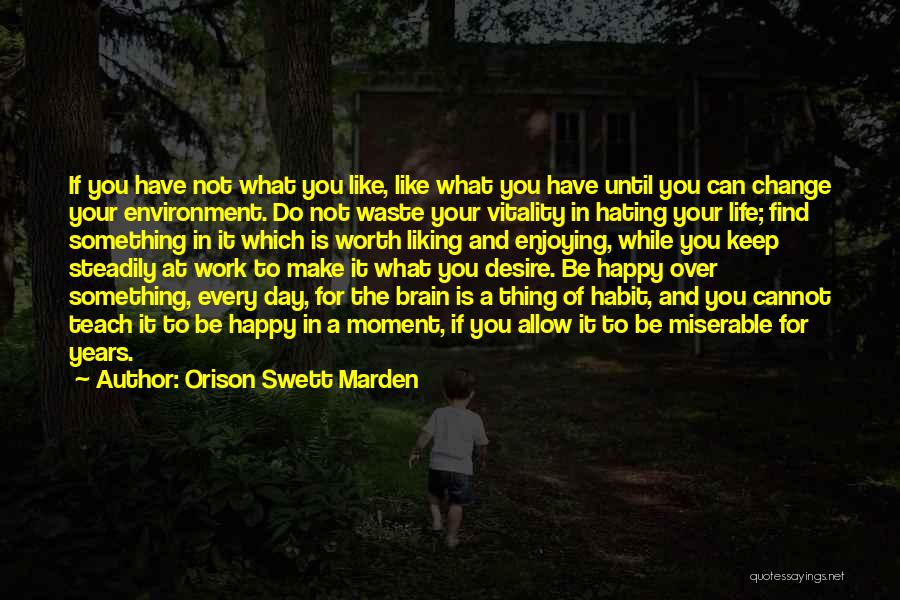 Enjoying What You Have Quotes By Orison Swett Marden