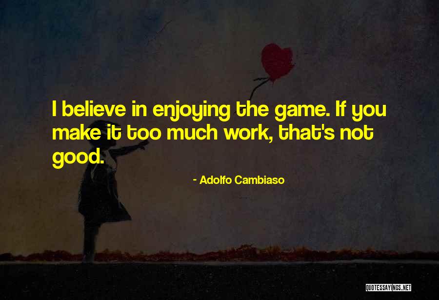 Enjoying Work Quotes By Adolfo Cambiaso