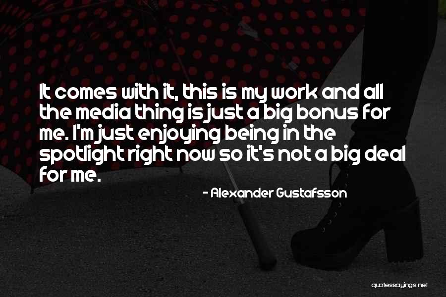 Enjoying Work Quotes By Alexander Gustafsson