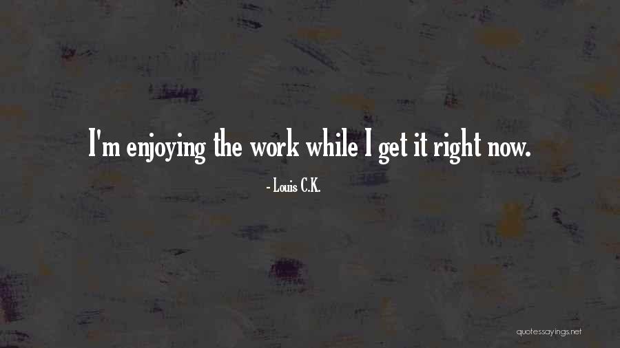 Enjoying Work Quotes By Louis C.K.