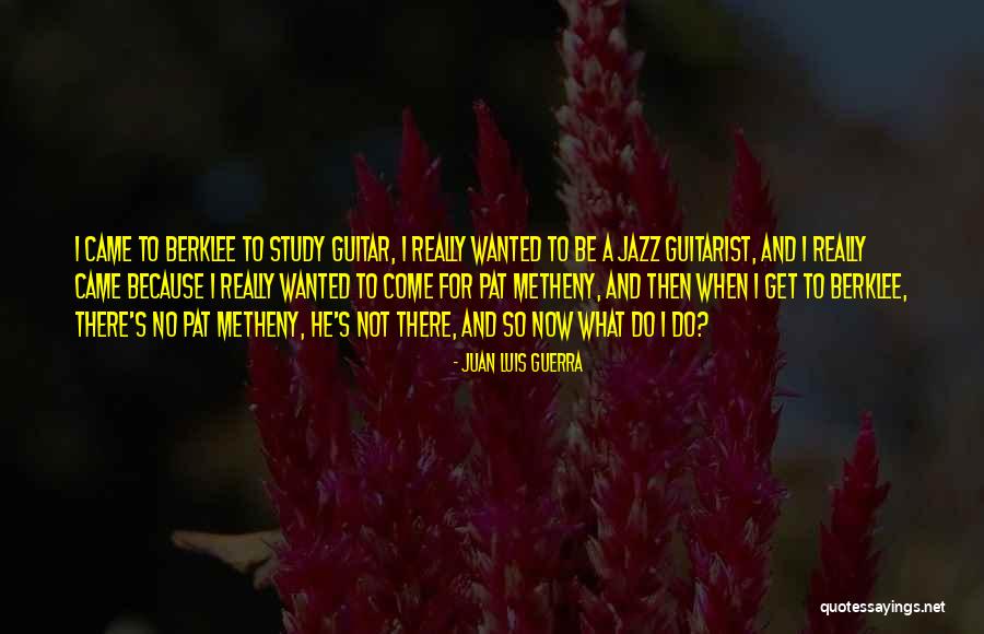 Enkelejd Alibeaj Quotes By Juan Luis Guerra Enkelejd Alibeaj Quotes By Juan Luis Guerra