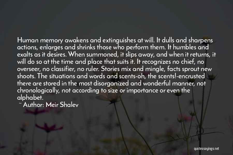 Enlarges Quotes By Meir Shalev