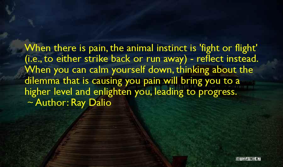 Enlighten My Life Quotes By Ray Dalio