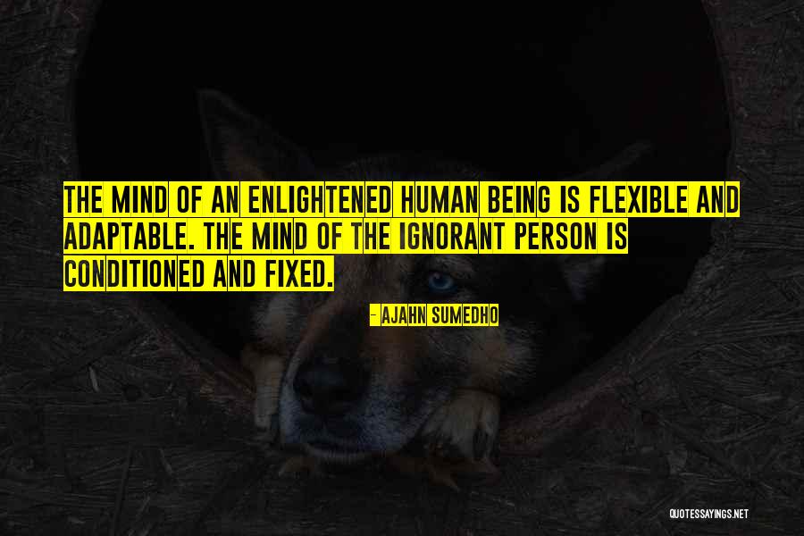 Enlightened Human Quotes By Ajahn Sumedho Enlightened Human Quotes By Ajahn Sumedho
