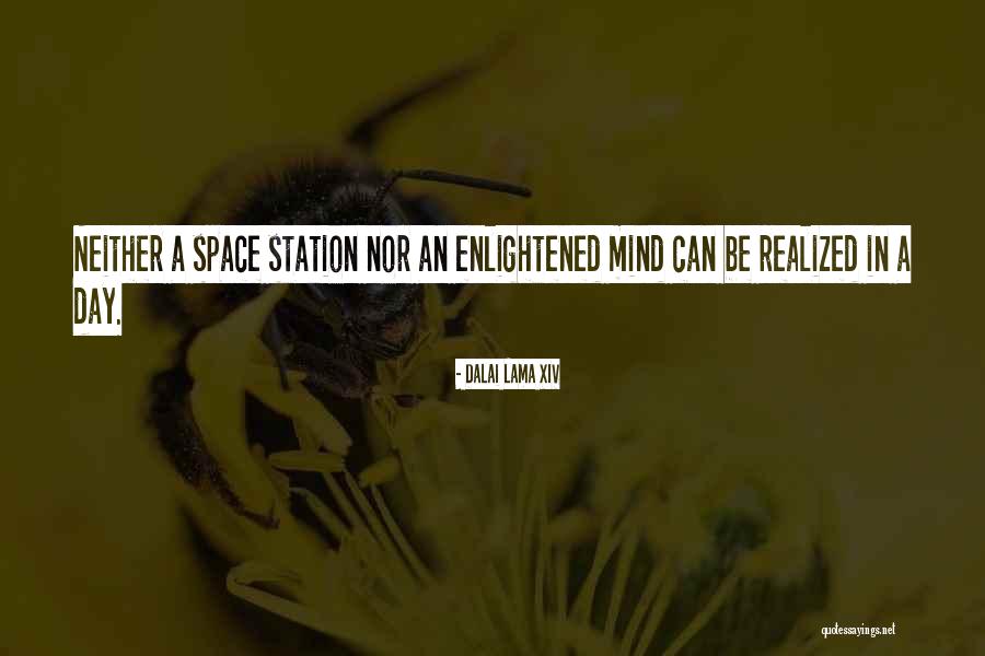 Enlightened Mind Quotes By Dalai Lama XIV