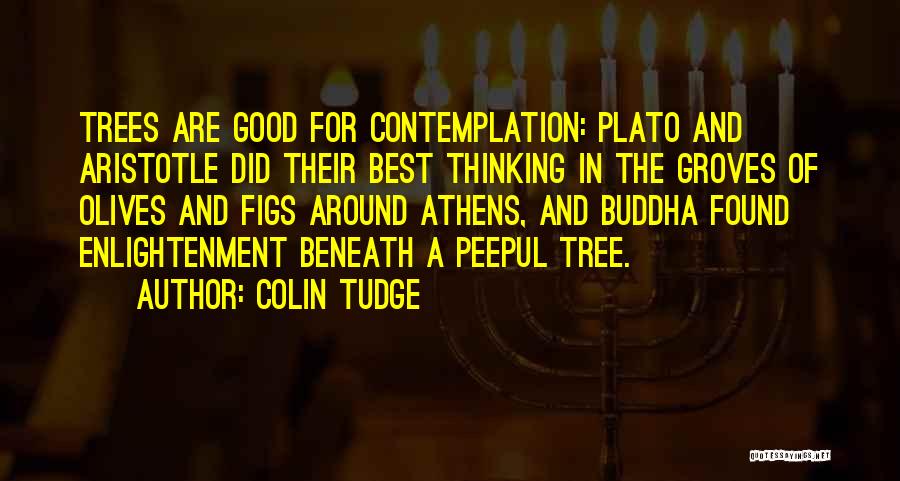 Enlightenment Buddha Quotes By Colin Tudge