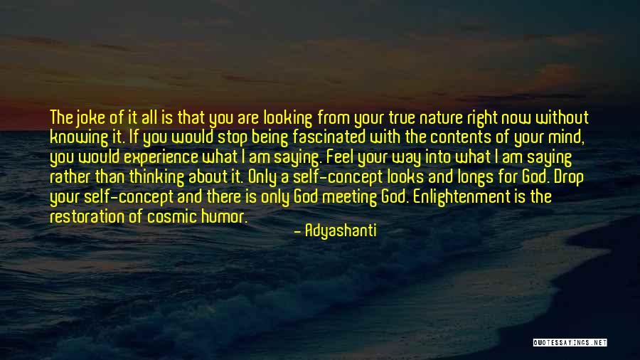 Enlightenment Thinking Quotes By Adyashanti Enlightenment Thinking Quotes By Adyashanti