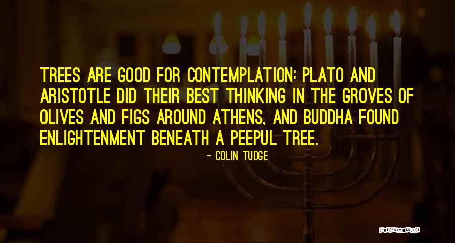 Enlightenment Thinking Quotes By Colin Tudge Enlightenment Thinking Quotes By Colin Tudge