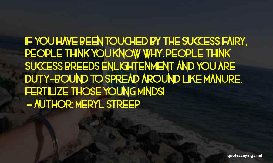 Enlightenment Thinking Quotes By Meryl Streep