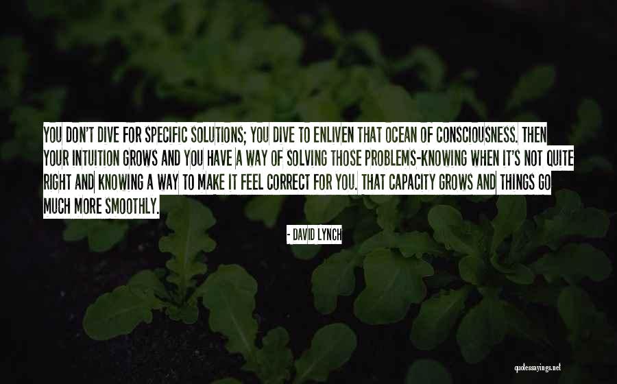 Enliven You Quotes By David Lynch Enliven You Quotes By David Lynch