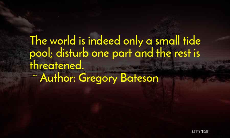 Enlyft Quotes By Gregory Bateson