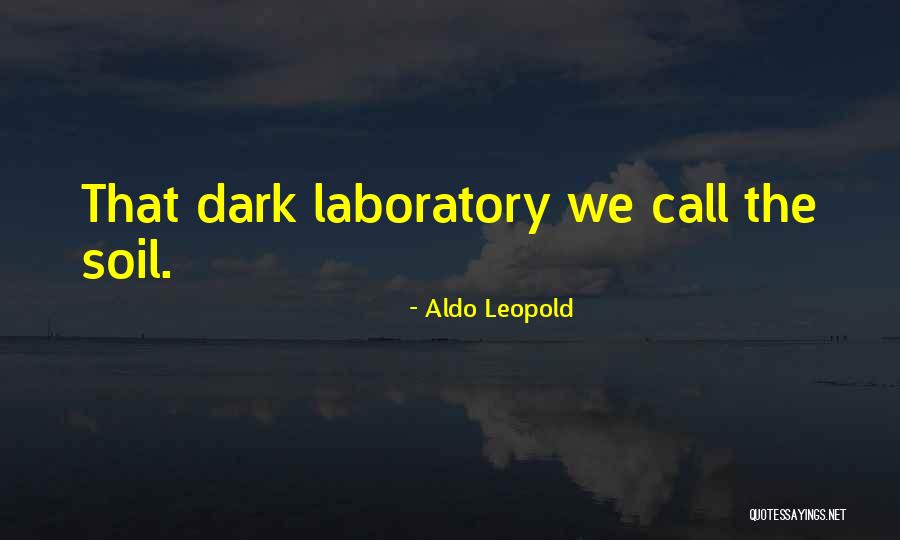Enmarcados Quotes By Aldo Leopold Enmarcados Quotes By Aldo Leopold
