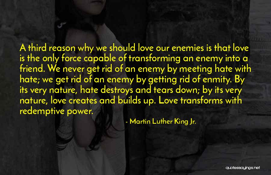 Enmity Love Quotes By Martin Luther King Jr. Enmity Love Quotes By Martin Luther King Jr.