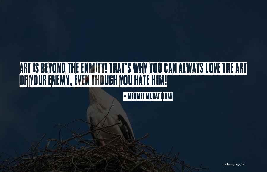 Enmity Love Quotes By Mehmet Murat Ildan Enmity Love Quotes By Mehmet Murat Ildan