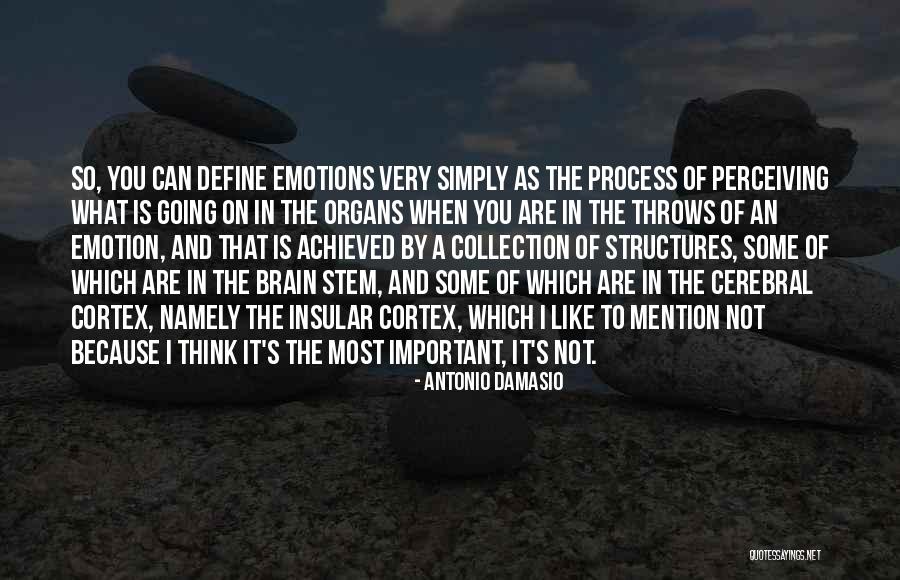 Ennistymon Hub Quotes By Antonio Damasio Ennistymon Hub Quotes By Antonio Damasio