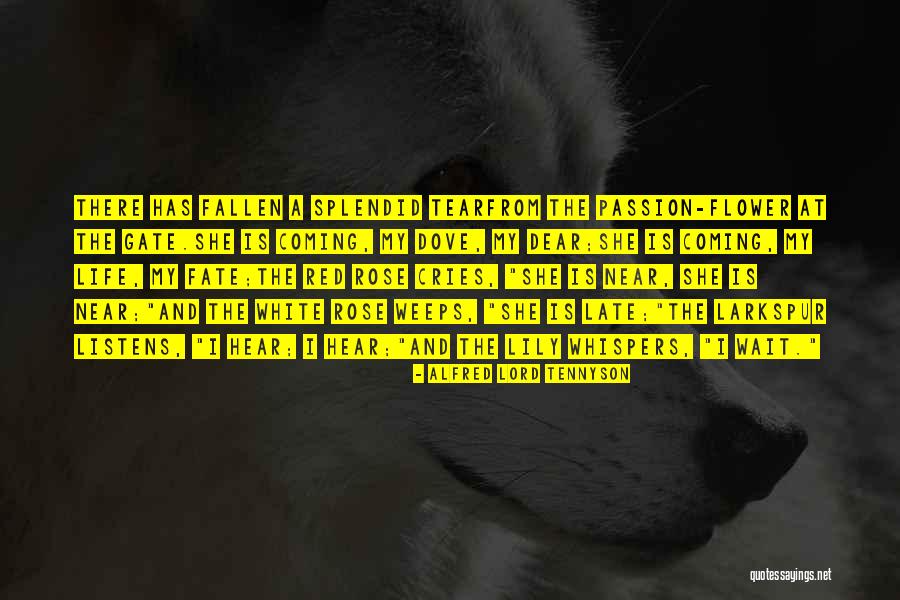 Ennosuke Super Quotes By Alfred Lord Tennyson Ennosuke Super Quotes By Alfred Lord Tennyson