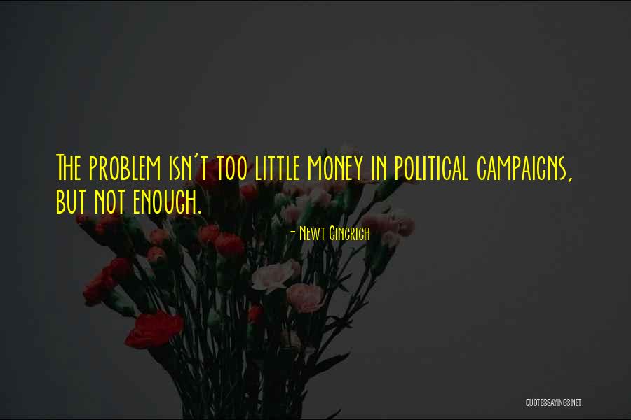 Enough Money Quotes By Newt Gingrich