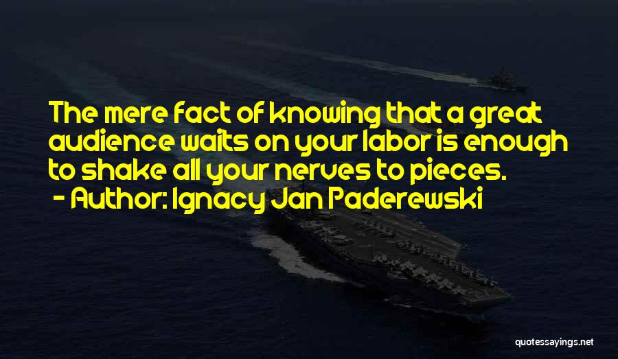 Enough Of Waiting Quotes By Ignacy Jan Paderewski