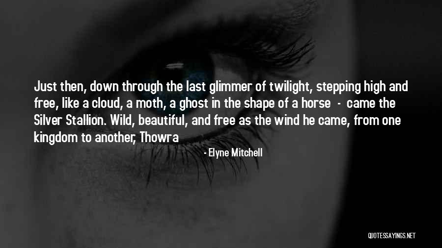 Enrarecer Quotes By Elyne Mitchell Enrarecer Quotes By Elyne Mitchell