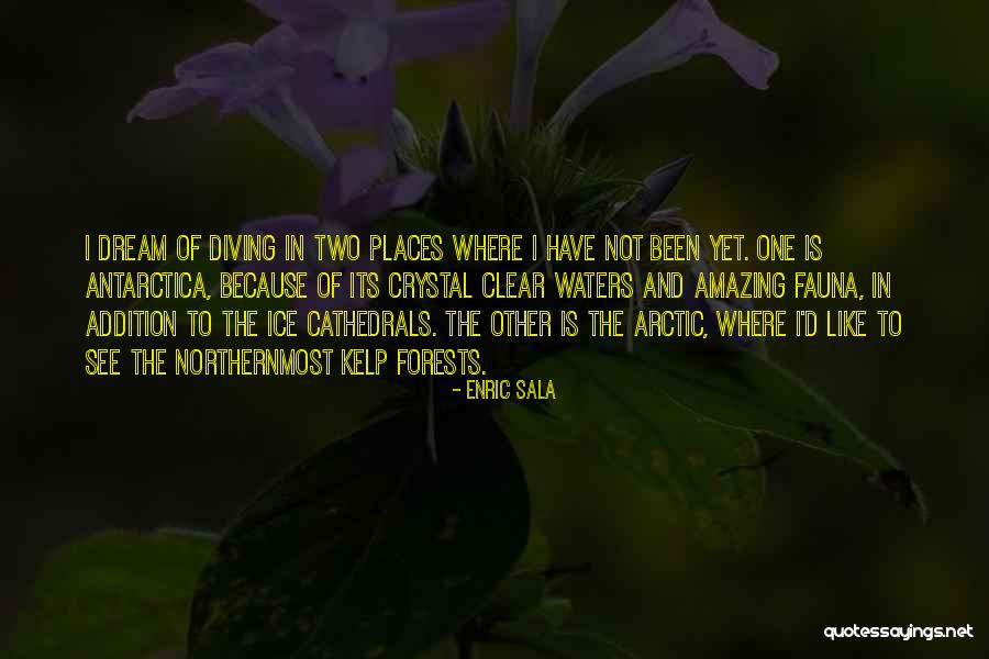 Enric Sala Quotes 689456 Enric Sala Quotes 689456