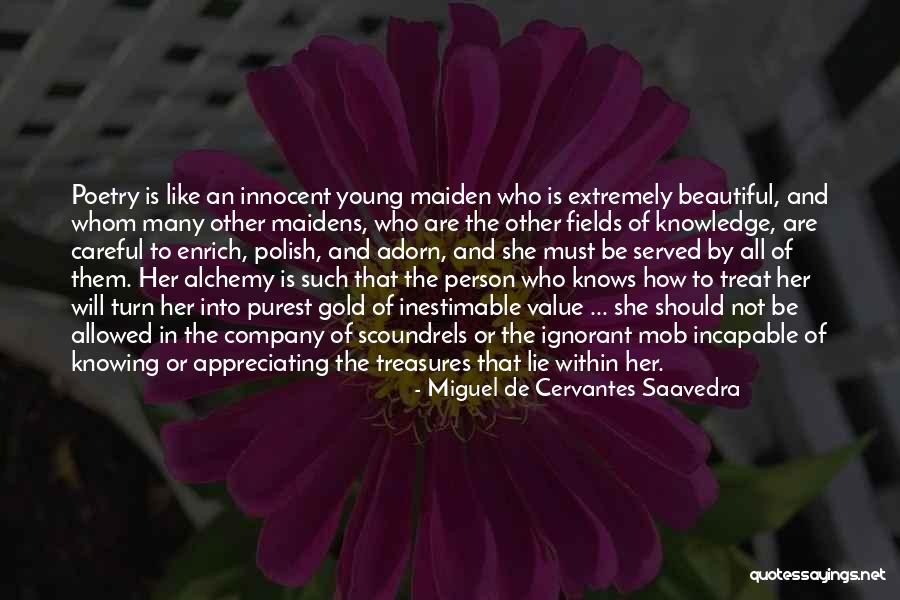 Enrich Your Knowledge Quotes By Miguel De Cervantes Saavedra Enrich Your Knowledge Quotes By Miguel De Cervantes Saavedra