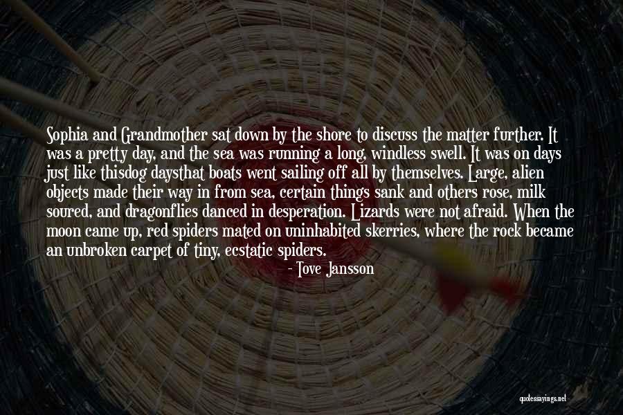 Enrich Your Knowledge Quotes By Tove Jansson Enrich Your Knowledge Quotes By Tove Jansson