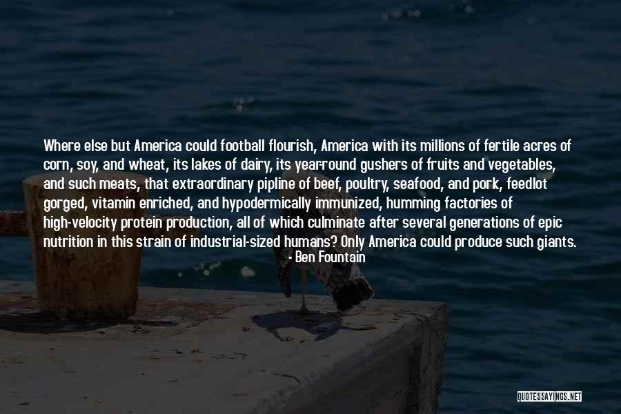 Enriched Quotes By Ben Fountain Enriched Quotes By Ben Fountain