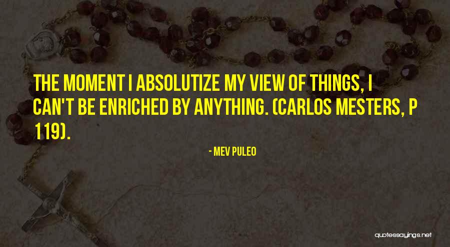 Enriched Quotes By Mev Puleo