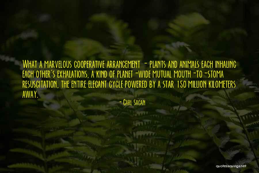 Enrico Palazzo Quotes By Carl Sagan Enrico Palazzo Quotes By Carl Sagan