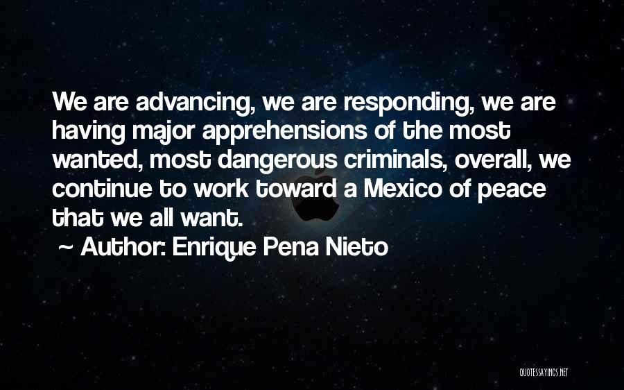 Enrique Pena Nieto Quotes 1267097