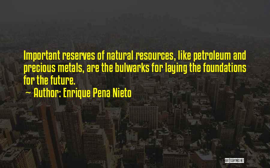 Enrique Pena Nieto Quotes 690514