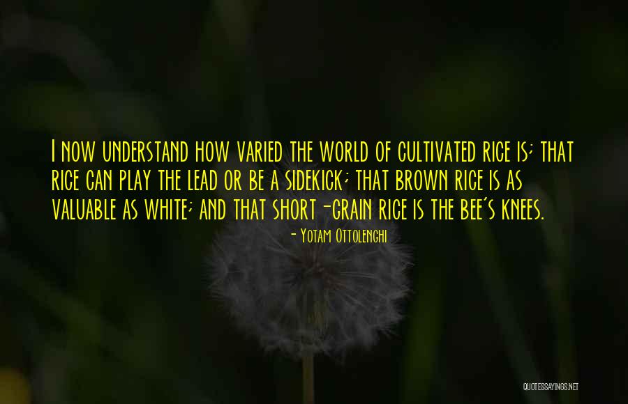 Enrique Vega Quotes By Yotam Ottolenghi Enrique Vega Quotes By Yotam Ottolenghi