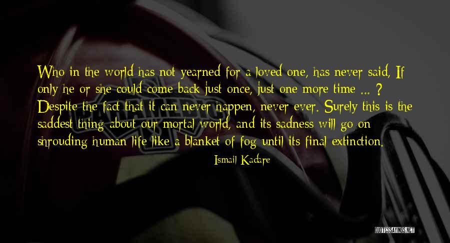 Enriquez Entertainment Quotes By Ismail Kadare Enriquez Entertainment Quotes By Ismail Kadare